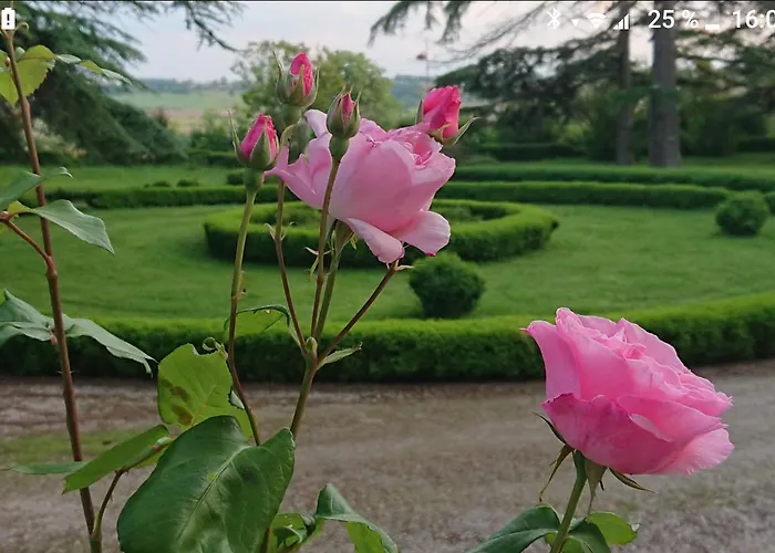 Chateau De Clermont-saves *