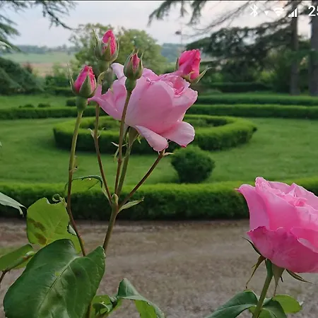 Chateau De Clermont-saves *